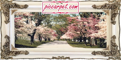 تابلو فرش شکوفه های بهاری با قاب چوبی سفید
